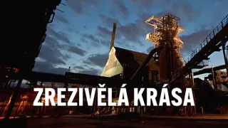 Zrezivělá krása
