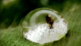 Planeta Země - živý organismus (2/2)