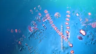 Planeta Země - živý organismus (2/2)