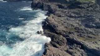 Planeta Země - živý organismus (2/2)