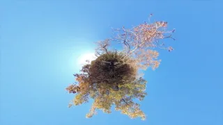 Planeta Země - živý organismus (2/2)