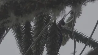 Kořeny života (3/3)