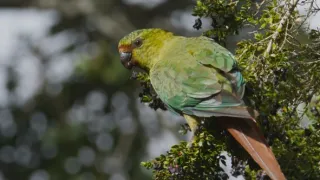 Kořeny života (3/3)