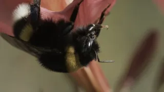 Kořeny života (3/3)