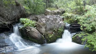 Kořeny života (3/3)