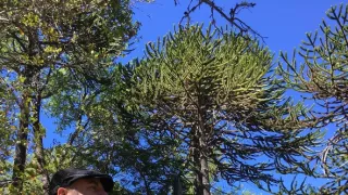 Kořeny života (3/3)