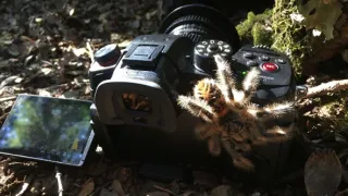 Kořeny života (3/3)