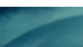 Odpolední Televizní noviny