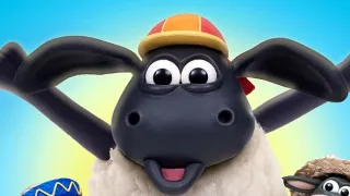 Timmyho mořské dobrodružství