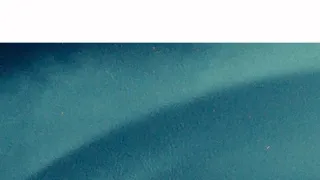 Televizní noviny
