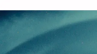 Polední Televizní noviny