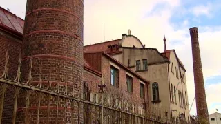Zrezivělá krása
