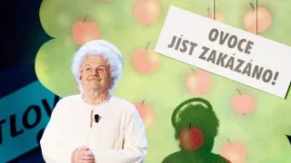 Za oponou