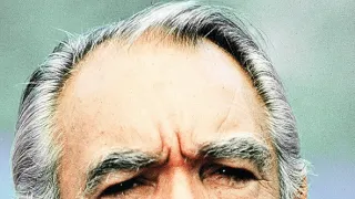 Salamandr