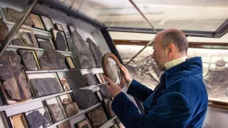 Joachim Barrande - ztracená moře