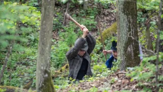 Joachim Barrande - ztracená moře