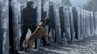 X – A rendszerből törölve