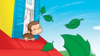 Zvědavý George (2)