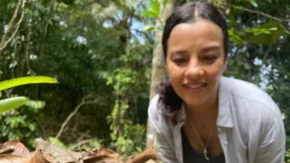 Divokým Karibikem s Liz Bonninovou (1)