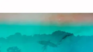 Divokým Karibikem s Liz Bonninovou (1)