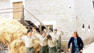 Bažanti jdou do boje