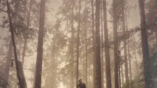 Zákonitosti prírody