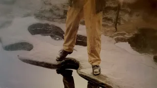 Zákonitosti prírody