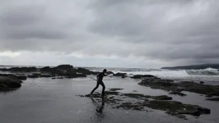 Zákonitosti prírody