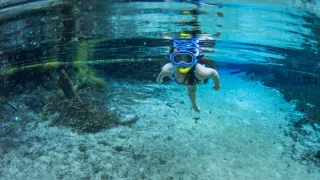 Zákonitosti prírody