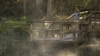 Zákonitosti prírody