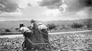 Ženy ve válce: 1914-1918