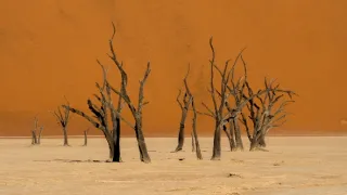 Neobyčejné ekosystémy