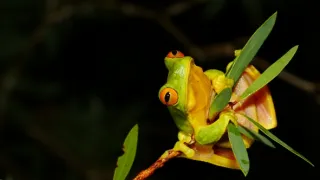 Neobyčejné ekosystémy