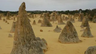 Neobyčejné ekosystémy