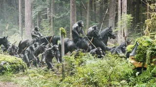 Úsvit planety opic