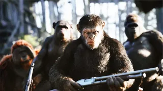 Válka o planetu opic