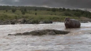 Zázračná planeta: Serengeti III (3/6)