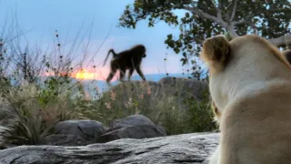 Zázračná planeta: Serengeti III (3/6)