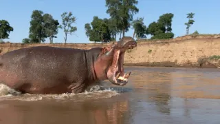 Zázračná planeta: Serengeti III (3/6)