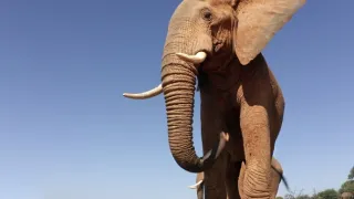 Zázračná planeta: Serengeti III (3/6)