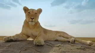 Zázračná planeta: Serengeti III (3/6)