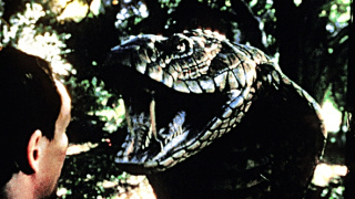 Královská kobra