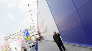Ano, šéfe!