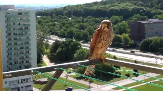 Bratislava, město uprostřed přírody