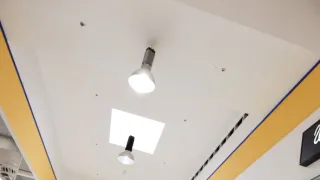 Ano, šéfe!