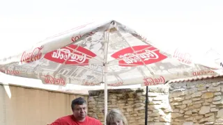 Ano, šéfe!