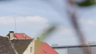Ano, šéfe!
