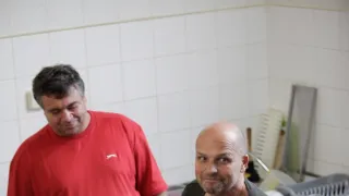 Ano, šéfe!