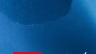 Odpolední sportovní noviny