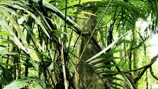 Malajzia, perla juhovýchodnej Ázie